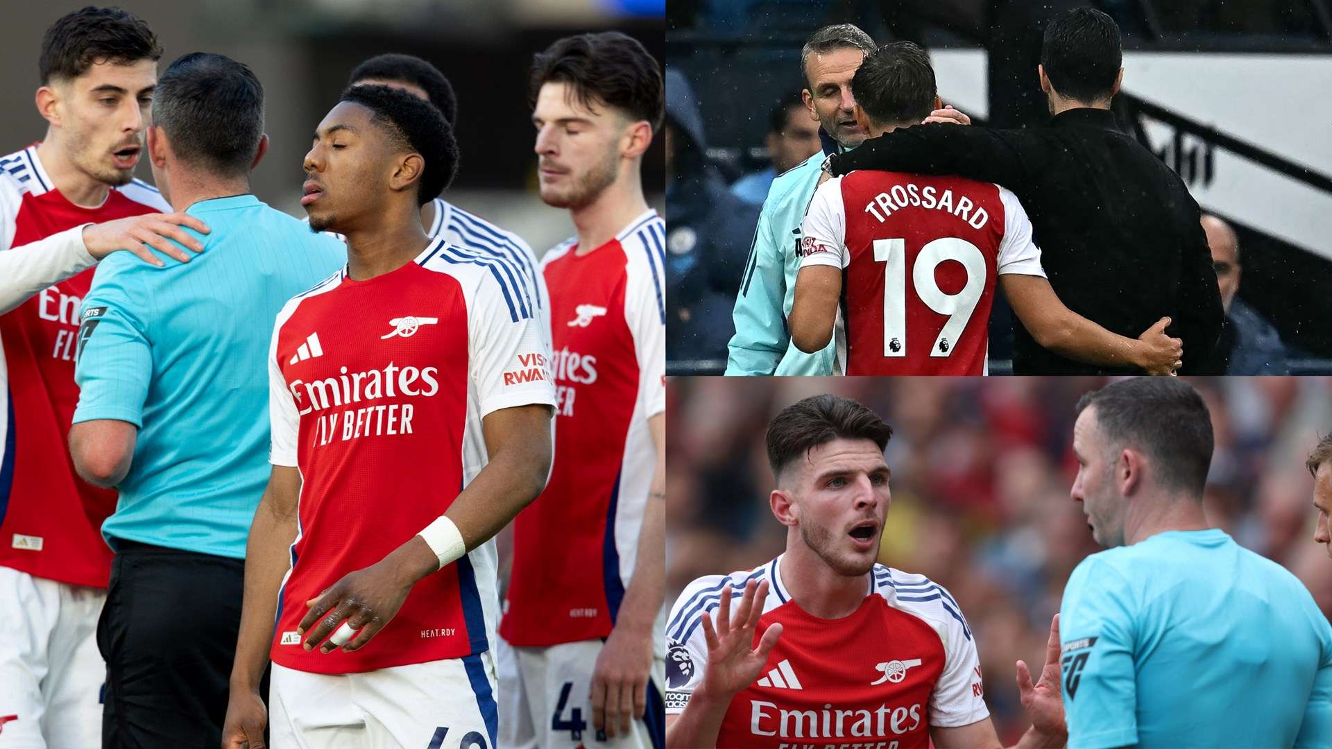 而毛剑卿对 而毛剑卿对